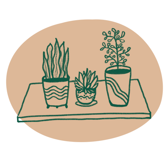 Illustration of plants in pots
