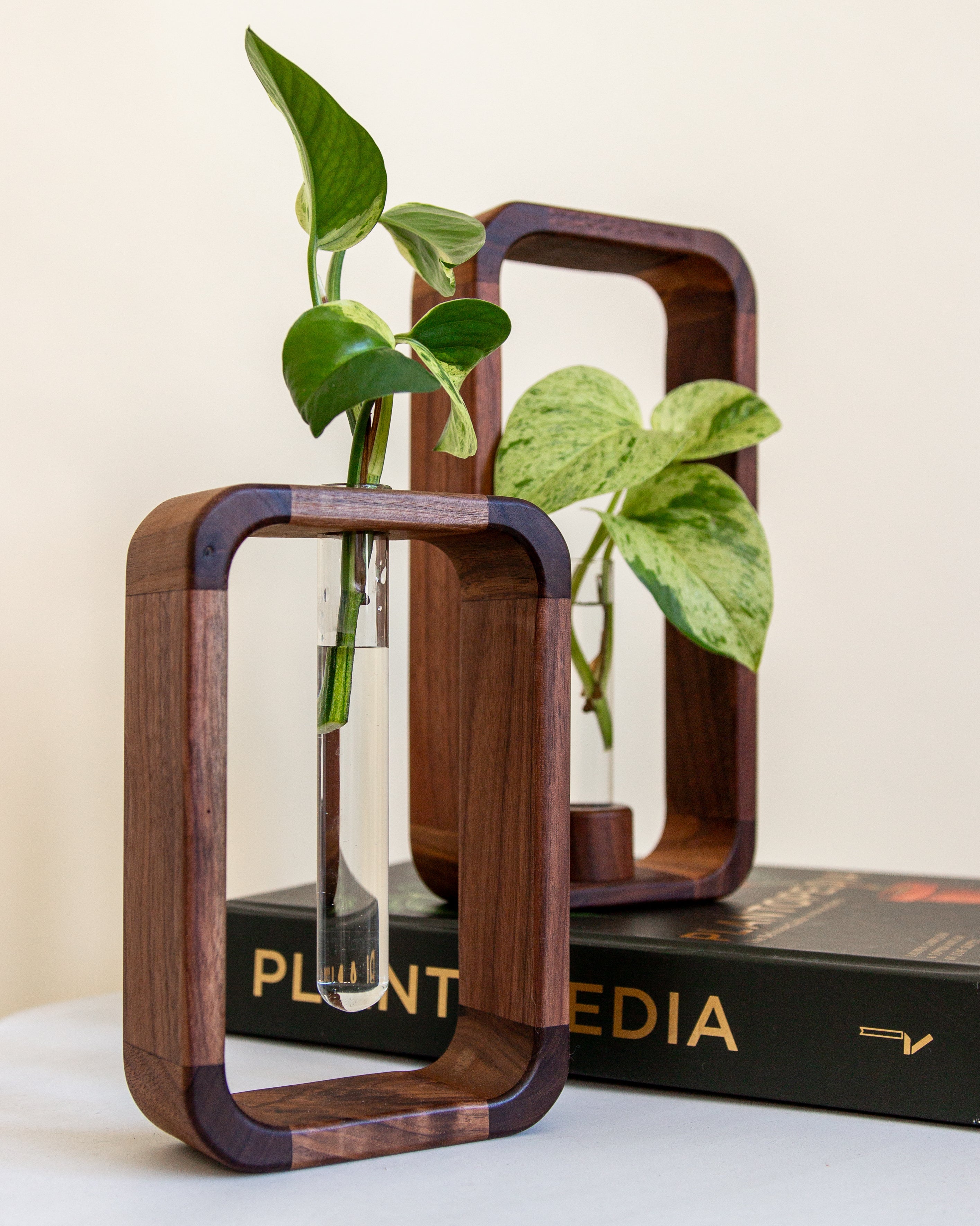 plant propagation rack Propagation Stand Set – ORANA HOME