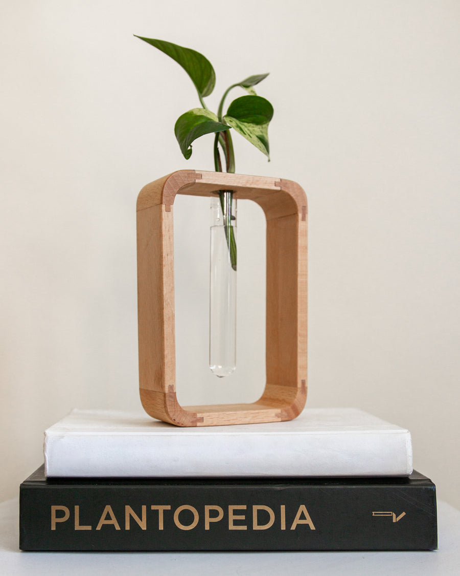 plant propagation rack Propagation Stand