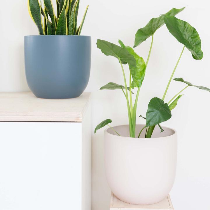 blue and white pots for indoor plants Ceramic Planter