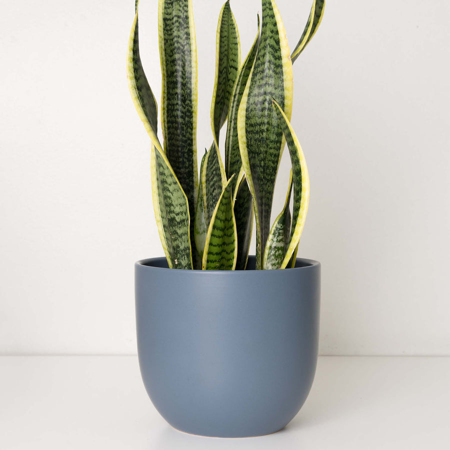 Ceramic Planter - Indigo Blue