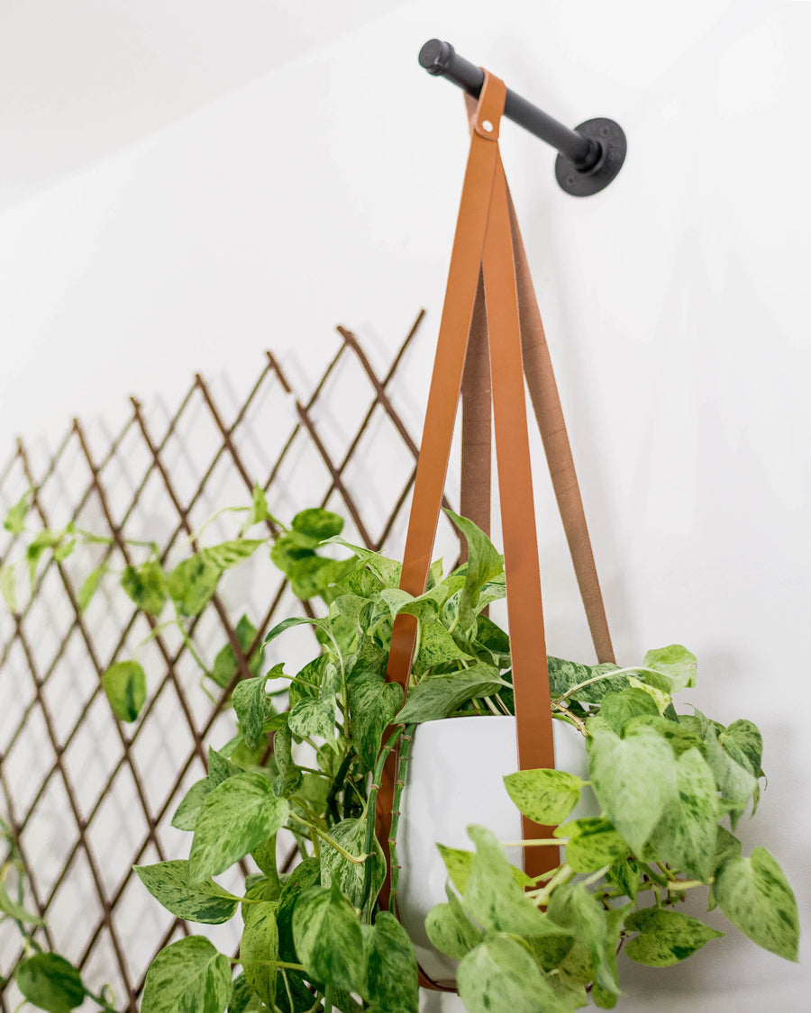 mesh plant hanger The Plant Wall Kit