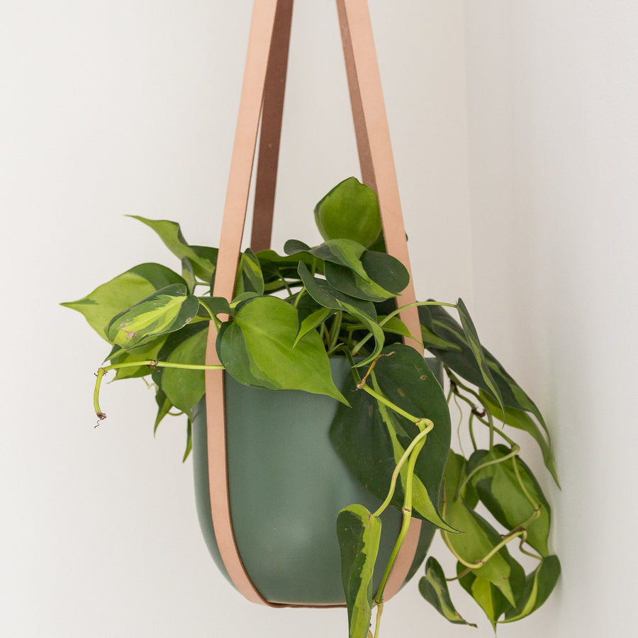 hanging plant kit The Wall Mount Kit – ORANA HOME